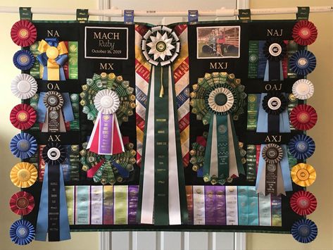 From Dog  Ribbon Displays FB page Dog Show Ribbon Display, Dog Ribbon Display, Dog Show Ribbon Display Ideas, Dog Show Ribbons, Dog Ribbon Display Ideas, Livestock Aesthetic, Horse Ribbon Display, Show Ribbon Display, Ribbon Board