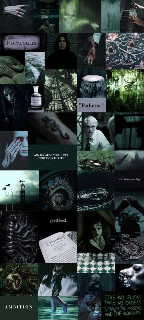 Slytherin Aesthetic Wallpaper Collage, Slytherin Green Aesthetic Wallpaper, Slytherin Collage Aesthetic, Dark Slytherin Aesthetic Wallpaper, Harry Potter Slytherin Wallpapers, Slytherin Wallpaper Backgrounds, Aesthetic Slytherin Wallpaper, Deatheaters Aesthetic, Harry Potter Wallpaper Slytherin