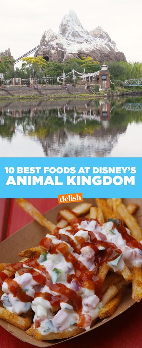 Food At Animal Kingdom, Best Food At Disney World, Animal Kingdom Snacks, Food At Disney World, Animal Kingdom Restaurants, Animal Kingdom Food, Animal Kingdom Rides, Disney Breakfast, Disney World Animal Kingdom