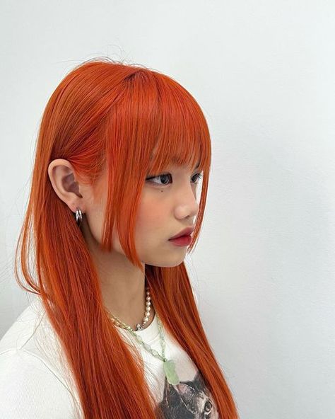 Mia Fa • 吉红发 on Instagram: "Hime cut because I’m a princess😘" Ginger Hair Dyed, Amazon Clothing Finds, Hime Cut, Clothing Finds, Amazon Clothing, Red Hair Inspo, Hair Color Streaks, Color Party, Hair Streaks