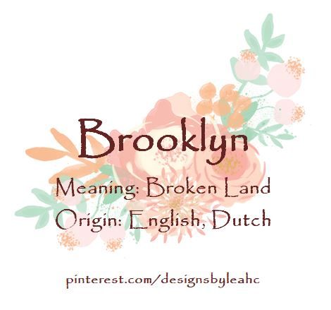 Baby Girl Name: Brooklyn. | Meaning: Broken Land. | Origin: English, Dutch. || www.pinterest.com/designsbyleahc Wren Name, Eden Meaning, Swedish Names, Meaningful Baby Names, Baby Girl Name, Names Girl, Name Origins