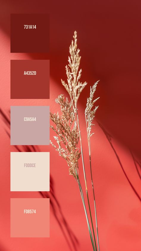 Colors:
731A14
A4352D
C9A5A4
F0DDCE
F08574 Summer Color Schemes, Minimalistic Presentation, Colour Shade Card, Shadow Casting, Color Palette Interior Design, Three Color Combinations, Ornamental Grass, Pantone Colour Palettes, Color Design Inspiration