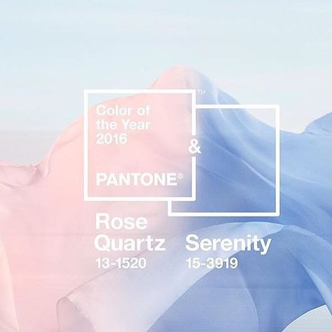 @pantone reveals first two-tone colour of the year... Rose Quartz & Serenity. Pastel pink and blue shades for 2016... Perfection. #colouroftheyear #pantone #pastelpink #blue #stylecraft #inspiration #colourinspiration #interiordesign #interiorinspiration by stylecraft_dot Pantone Rose Quartz Serenity, Pantone 2016, Rose Quartz Serenity, Serenity Blue, Christmas Tree Tops, Pantone Color Of The Year, Shop Interior Design, New Details, World Of Color