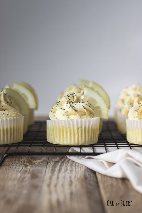 Limoncello cupcakes with cream cheese buttercream – Cau de sucre Planting A Lemon Tree, Limoncello Cupcakes, Make Sweets, Fun Cupcake Recipes, Cream Cheese Buttercream, Eat Something, Lemon Poppyseed, Pastry Bag, Citrus Fruits