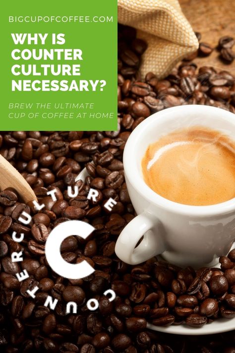 Counter Culture Coffee is truly a role model when it comes to sustainable coffee. The coffee company operates by following the core of their business, which is sourcing coffee. Yet, these core values would not manifest without transparency. Such is reflected in their Purchasing Principles and Supply Chain Objectives. Counter Culture Coffee, Sustainable Coffee, Coffee Review, Coffee Roastery, Counter Culture, Coffee Company, Role Model, Core Values, Supply Chain