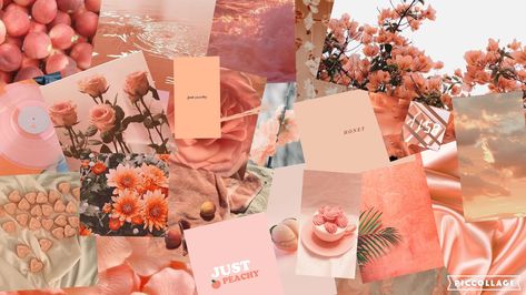 peach aesthetic collage background Peach Background Aesthetic Landscape, Peach Aesthetic Wallpaper Laptop, Aesthetic Collage Background, Disco Glam, Tøp Wallpaper, Peach Wallpaper, Peach Background, Peach Aesthetic, Backgrounds Aesthetic