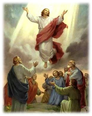 Beautiful Easter Decorations to Enjoy Throughout the Spring Season Ascension Of Jesus, Jesus Meme, Catholic Humor, Image Of Jesus, The Meta Picture, Jesus Memes, Jesus Funny, Christian Humor, Christian Memes