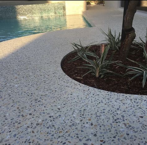 Pebblecrete Pool, Pool Surround, Pool Paving, Exposed Aggregate Concrete, Aggregate Concrete, Concrete Path, Mid Century Exterior, Outdoor Paving, Side Yard Landscaping