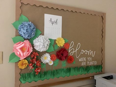 Paper flower bulletin board Spring Notice Board Ideas, Bloom Bulletin Board Ideas, Flowers Bulletin Board, Flower Bulliten Board Ideas, Paper Flower Bulletin Board Ideas, Floral Bulletin Board, Grass Bulletin Board, Bloom Bulletin Board, Flower Bulletin Board