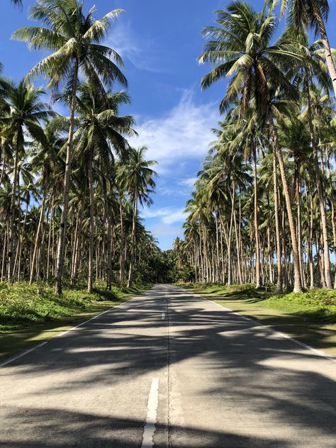 Siargao Aesthetic, Philippines Aesthetic, Vacation Board, Coffee Study, Vacation Locations, Siargao, Philippines Travel, Gopro Hero, Island Life