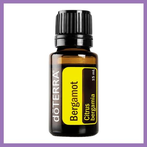 Bergamot Product Page Diffuse Bergamot oil in the classroom, at work, or at home when stress levels or tension is high. Apply to the skin while showering and inhale deeply to experience its calming aroma while enjoying its purifying skin benefits. Change regular tea to Earl Grey with the addition of Bergamot oil. Apply to the feet before bedtime or use with doTERRA Fractionated Coconut Oil for a calming and relaxing massage. Add one to two drops to your DIY skin care cleanser. Bergamot Doterra, Doterra Citrus Bliss, Doterra Wild Orange, Selling Essential Oils, Wild Orange Essential Oil, Turmeric Essential Oil, Citronella Essential Oil, Tangerine Essential Oil, Bergamot Essential Oil