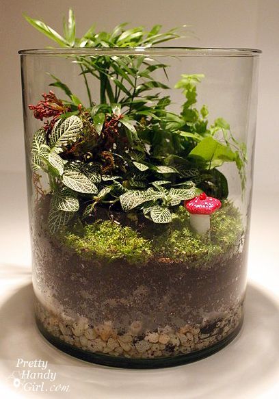 Terrariums are making a comeback in home décor. Gone are the octagonal mirrored terrariums. They have been replaced by sleak apothecary jars, tall cylinders and lidded glass vessels (to name just a few shapes.) Twig Terrariums has an amazing array of beautiful ready made terrariums or DIY kits for sale! Some of them have stunning … Large Glass Terrarium Ideas, Forest Terrarium Ideas, Home Made Terrarium, Vase Terrarium, Teranium Ideas Glass Jars, Tall Terrarium Ideas, Diy Terrarium, Modern Terrarium, Open Terrariums