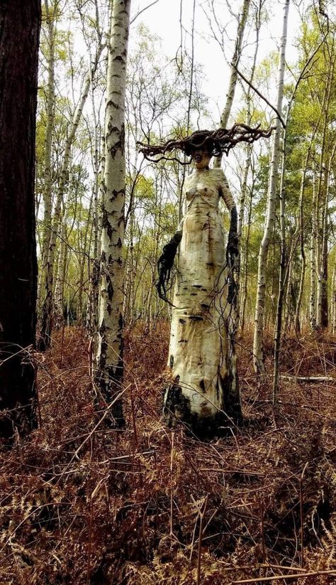 Haunted Woods, Something Wild, Haunted Forest, Tree Spirit, Lost In The Woods, Forest Background, Tree Stump, Creepy Art, Walk In The Woods