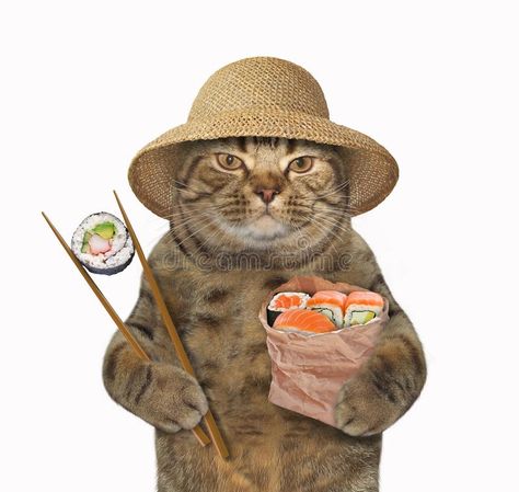 Vector Stickers Illustrations, Sushi Meme, Sushi Png, Sushi Funny, Cat Vector Illustration, Cat With Hat, Cat Pfps, Pfp Funny, Funny Pfp