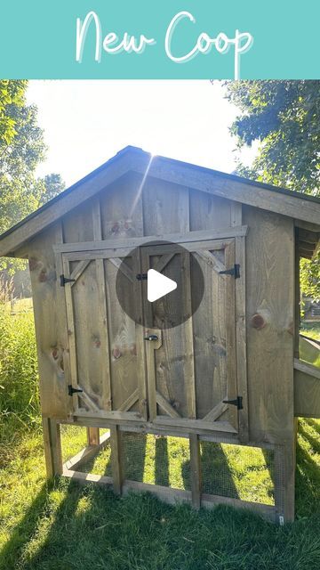 Nikki Husted on Instagram: "Info for the coop builder is linked in my bio! 

 Stick around to see what changes we make to the coop! (Full video and tour coming soon)

 Plans for the new coop…
🐔Auto-door to be installed
🐔Smaller hardware cloth on the windows
🐔Moving it to a new level spot and adding hardware cloth around the base & sand in the run.
🐔Wallpaper. Duh. 
🐔Decorations. Duh. 
🐔Solar lights 
🐔Eventually extend the run or make an attached outdoor run. We’ll see how spacing goes 

Why this flock is not integrating with my big flock…
🐥 My other coop of full! For real this time.
🐥My kids wanted a coop with small mini chickens they could hold and handle better. 
🐥We have a chicken addiction. 

Bedding from @eatonpetandpasture  feel free to use my code purelychickens to save on Hardware Cloth, Chicken Coops, Raising Chickens, A Chicken, The Run, Chicken Coop, Solar Lights, Coop, For Real