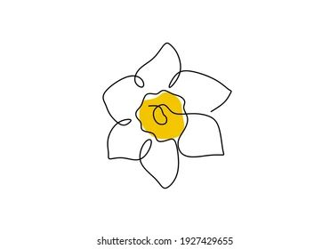 Flower Line Drawings, Flower Logo Design, Daffodil Bulbs, Flower Drawing Design, Daffodil Flower, Continuous Line Drawing, Arabic Art, Flower Logo, Continuous Line