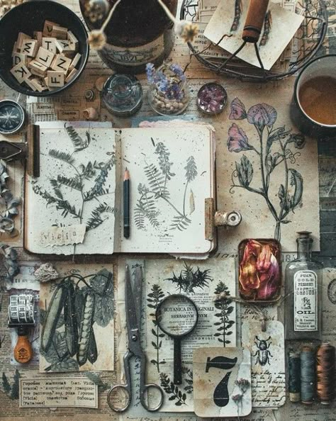 Forest Witch Aesthetic, Green Academia, Witch Aesthetic, Witchy Vibes, Nature Journal, Dream House Decor, Green Aesthetic, Featured Artist, Botany