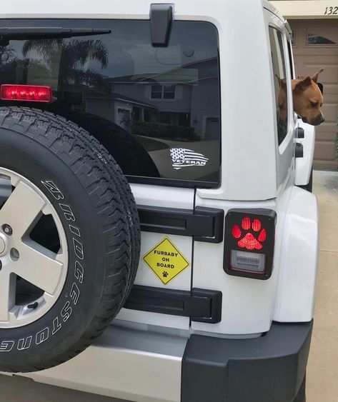 Cool Jeeps Wrangler 2 Door, Jeep Wrangler Pet Accessories, Jeep Dog Accessories, Jeeps And Dogs, Jeep Wrangler Lights, Jeep Wrangler With Led Lights, Jeep Tail Lights, Jeep Wrangler Interior, 2 Door Jeep