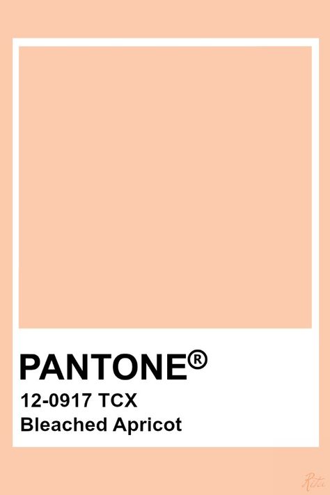 Pantone  Bleached Apricot Apricot Pantone, Pantone Color Swatches, Pantone Orange, Pantone Swatches, Pantone Palette, Color Pantone, Pantone Colour Palettes, Apricot Color, Peach Aesthetic