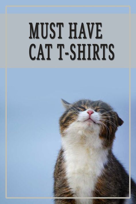 T-shirts are a way for people to express their love for a movie, a band or sports team.  And more recently, cats. With the help of a fairly recent invention , the Internet , cat lovers can easily find and buy any cat T-shirt they desire, and support a creator they love. #tshirts #tshirtsforwomen #cats #catlovers #catowners #catgifts  #meowpassion Cats Shirt, Cat Dad Gifts, Wedding Gifts For Friends, Cat Tshirts Funny, Aesthetic Gift, Cat Products, Cat Themed Gifts, Cat Mom Gifts, Cat Tee