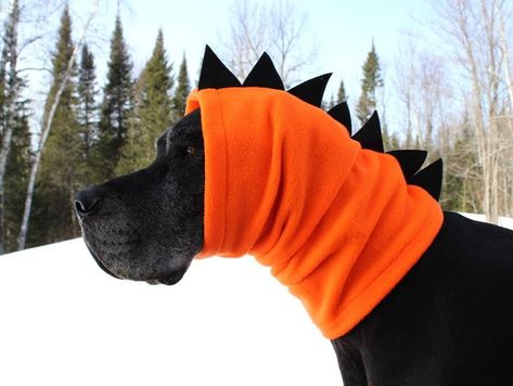 Orange Dinosaur, Dog Snood, Orange Fleece, Dinosaur Costume, Dane Dog, Great Dane Dogs, A Dinosaur, Dog Costume, Black Felt