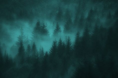 #twilight #twilightcore #fairygrunge #fairycore Calm Pc Wallpaper, Twilight Desktop Wallpaper, Twilight Aesthetic Wallpaper, Twilight Background, Twilight Core Aesthetic, Twilight Forest, Twilight Core, Plains Background, Forest Theme