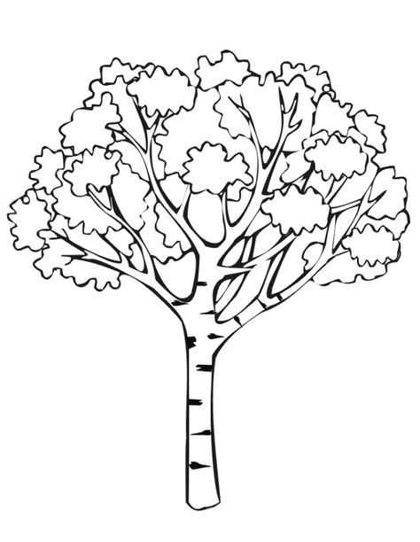 Tree Coloring Pages To Print Ninjago Coloring Pages, Tree Coloring, Christmas Tree Coloring Page, Food Coloring Pages, Simple Tree, Tree Coloring Page, Fall Coloring Pages, Leaf Coloring, Tree Drawing