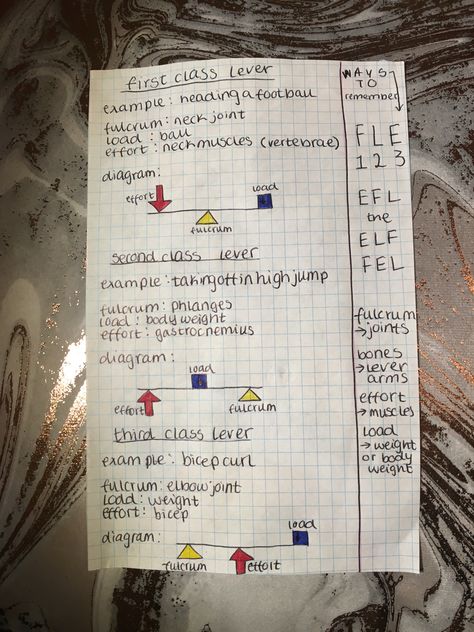 First class, second class, third class levers. Gcse Pe, Gcse Revision, Notes Ideas, School Hacks, Study Notes, First Class, Bones, Science, Quick Saves