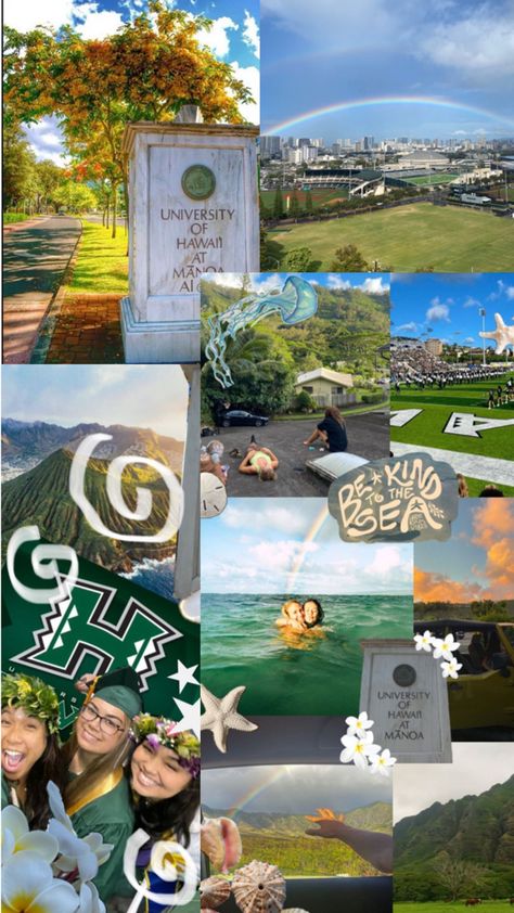 Vsco University Of Hawaii Aesthetic, Hawaii State University, University Of Hawaii At Manoa, Dream Collage, University Of Hawaii, College Aesthetic, Vibe Check, Dream College, Dream School