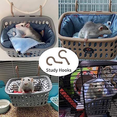 Rat Cage Diy, Diy Rat Toys, Pet Rat Cages, Rat Cage Accessories, Rat Hammock, Chinchilla Pet, Dumbo Rat, Pet Rodents, Raising Rabbits