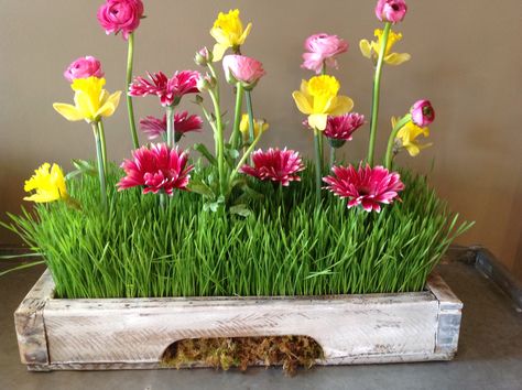 Wheat grass centerpieces Wheat Grass Centerpiece, Merlot Wedding Theme, Grass Centerpiece, Grass And Flowers, Easter Arrangement, Garden Theme Wedding, Tented Wedding, Grass Decor, Flower Pot Crafts