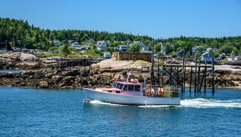 Deer Isle Maine, Adventure Videos, Downeast Maine, Forest Hiking, Camden Maine, Fresh Lobster, Hidden Beach, Lily Pond, Acadia National Park