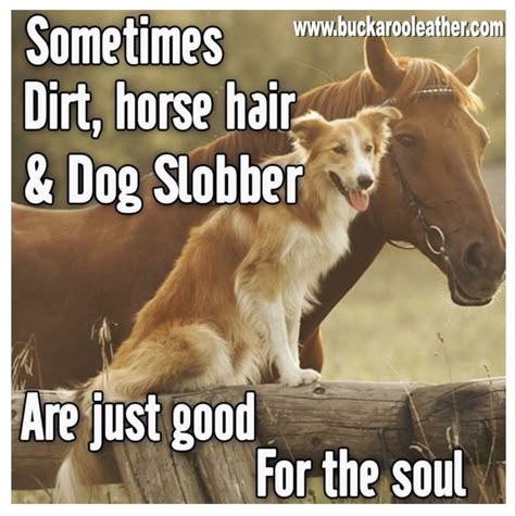 Equine Quotes, Cowgirl Quote, Horse Quotes Funny, Inspirational Horse Quotes, Horse Riding Quotes, Equestrian Quotes, Cowboy Quotes, Riding Quotes, Good For The Soul