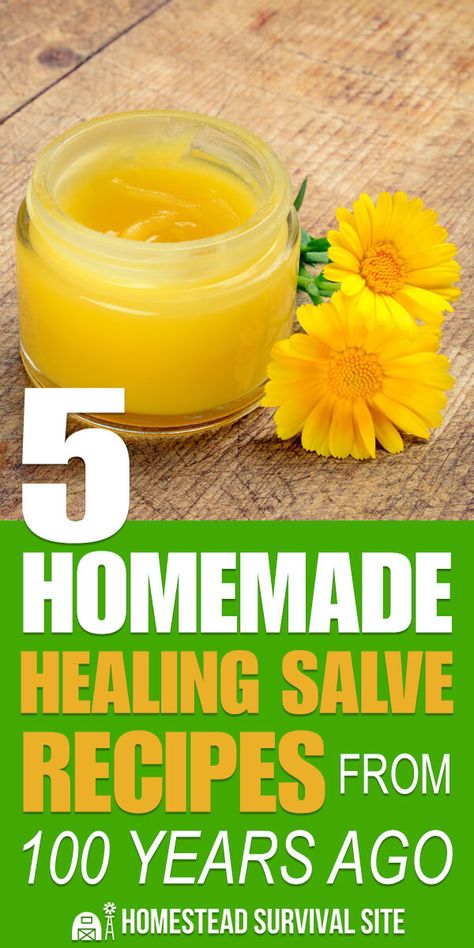 Learning how to heal injuries with herbs, healing salves, and other items is a fundamental skill for any homesteader. #homesteadsurvivalsite #healingsalves #homemade #homeremedies #naturalmedicine Homemade Healing Salve, Healing Salve Recipe, Salve Recipes, Herbal Salves, Boho Lifestyle, Healing Salves, Natural Healing Remedies, Natural Therapy, Homemade Remedies