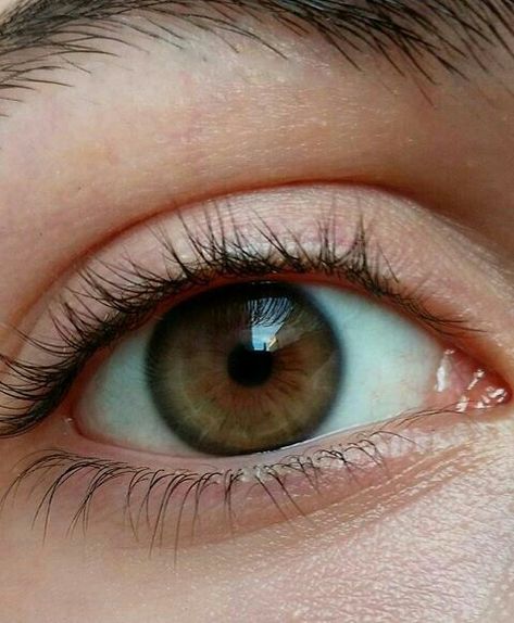 Brown Eyes Facts, Brown Eyes Tumblr, Brown Eye Quotes, Eye Aesthetic, Brown Eyes Blonde Hair, Brown Eyes Aesthetic, Hazel Green Eyes, Eye Facts, Hazel Eye Makeup