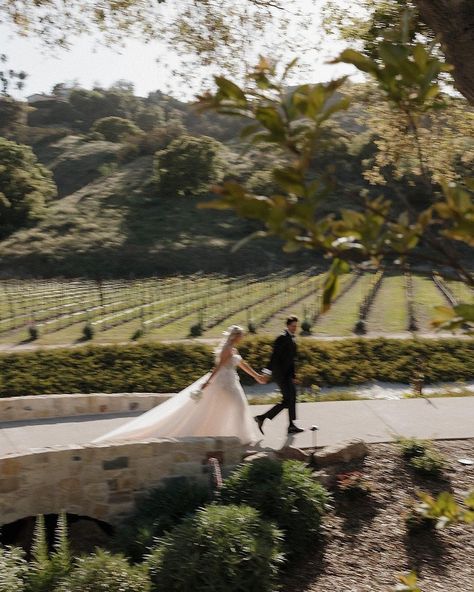 Wedding Photographer (@ashgabes_photography) • Instagram photos and videos Veritas Vineyard Wedding, Vintage Outdoor Wedding Aesthetic, Vineyard Wedding Pictures, European Wedding Photos, Winery Wedding Pictures, Monteluce Winery Wedding, Winery Wedding Aesthetic, Wedding Photos Vineyard, Monserate Winery Wedding