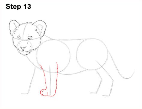 Lion Cub Drawing 13 Lion Cub Drawing, Draw Lion, Draw A Lion, Human Drawings, King Pictures, Drawings With Meaning, Draw Cats, Zoo Ideas, Animal Sketch