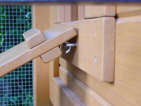 Chicken Ramp, Chicken Tractors, Urban Chickens, Coop Design, Best Chicken Coop, Backyard Flocks, Chicken Garden, Building A Chicken Coop, Keeping Chickens