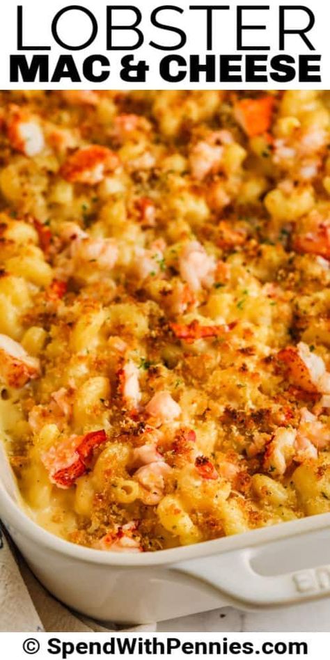 Lobster mac and cheese is a rich and creamy gourmet entree that's super easy to make in your own kitchen. Try this olive garden copycat version for dinner tonight! #spendwithpennies #lobstermacandcheese #entree #recipe #macandcheese #mac&cheese #lobster #best #easy #baked #copycat #olivegarden Slow Cooker Lobster Mac And Cheese, Blue Crab Mac And Cheese Recipe, Seafood Mac N Cheese Recipe, Truffle Lobster Mac And Cheese, Lobster And Shrimp Mac And Cheese, Crockpot Lobster Mac And Cheese, Mac And Cheese Lobster, Ruth Chris Lobster Mac And Cheese Recipe, Lobster Mac Cheese Recipe