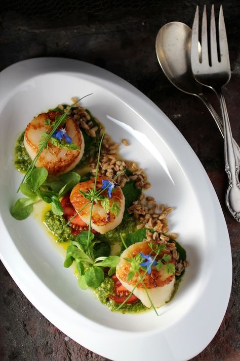 Scallop, Farro, Micro Greens, Lemon Basil Sauce Lemon Basil Sauce, Lemon Basil Dressing, Gourmet Food Plating, Micro Greens, Basil Sauce, Sea Scallops, Scallop Recipes, Fine Dining Recipes, Lemon Basil