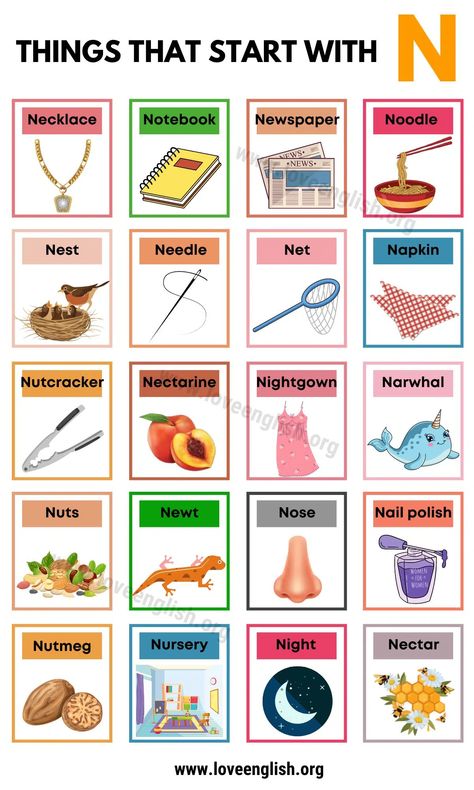 33 Examples Of Things That Start With N - Love English Things That Start With A, Summer Alphabet, Book With Blank Pages, English Learning Books, Learning Books, Phonics Rules, Growth Mindset Posters, Bra Hacks, The Last Kingdom