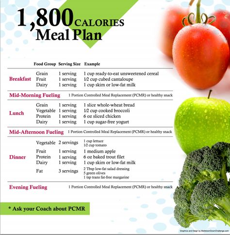 1800 calories meal plan..... i need one more snack in their because of how long my day is but it looks like a good start to go by....now to find fruits i like XD Meal Plan 1800 Calories, Calories Meal Plan, Diet Template, 1800 Calorie Diet, 800 Calorie Meals, 1800 Calorie Meal Plan, Gain Meals, Fat Burning Meal Plan, Macro Meal Plan