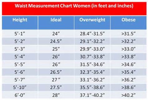 For women:Ideal waist measurement by height Healthy Body Measurements For Women, Ideal Measurements For Women, Ideal Body Measurements For Women, Ideal Waist Size For Women, Waist Measurement Chart, Fitness Essentials, Nutrition Plan, Fat Loss Diet, Weights For Women