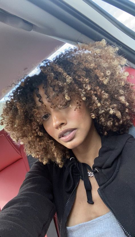 Afro Hairstyles Color, Type 4 Hair Highlights, Streaks On Curly Hair, Brown Natural Hair With Highlights, Ombré Natural Hair, Colored Afro Natural Hair, Afro With Highlights, Honey Blonde 4c Natural Hair, Afro Hair Color Ideas