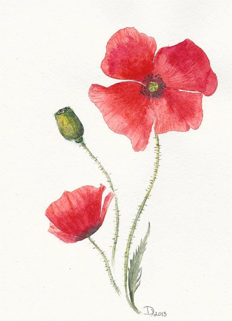 Flowers Original watercolor painting Red Poppy by ArtAquarelle, €15.00 Friendship Flowers, Floral Watercolor Paintings, Watercolor Flowers Tutorial, Watercolor Poppies, Poppy Art, Watercolor Red, Watercolor Flower Art, Red Poppy, Easy Watercolor