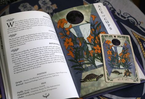 Forager's Daughter Tarot: Afterlight Edition Deck & - Etsy Canada The Major Arcana, Illustrated Cards, Medieval Tapestry, Love Tarot, Color Images, Rider Waite, Minor Arcana, Tarot Art, Tarot Readers