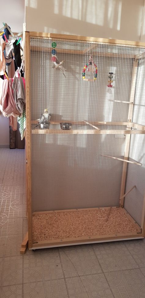 Bird Cage Ideas Indoor Diy, Birds Cage Ideas Indoor, Diy Parrot Cage, Indoor Bird Aviary, Love Birds Pet, Bird Room, Diy Bird Cage, Bird Cage Design, Flight Cage