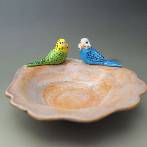 Australian Flora, Clay Crafts Air Dry, Clay Animals, Clay Art Projects, Flora And Fauna, Diy Clay, Trinket Dish, Air Dry Clay, Birdy