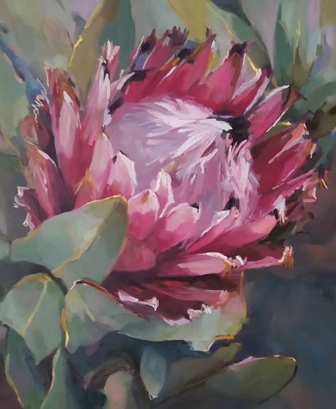 Shaune Rogatschnig on Instagram: “A wintery warmer to delight your heart. Magnificently pink and powerful. It's Cape Town's season of flowering treats. Releasing only a few…” Protea Art, Floral Paintings Acrylic, Protea Flower, Abstract Flower Art, Acrylic Painting Tips, Watercolor Projects, Smart Art, King Art, Watercolor Flower Art