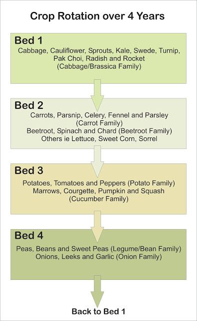 Greenspace Garden Design: Planning Your Crop Rotation Allotment Crop Rotation, Garden Rotation, Allotment Ideas, Permaculture Garden, Vegetable Garden Planner, Backyard Garden Layout, Allotment Gardening, Potager Garden, Garden Design Layout